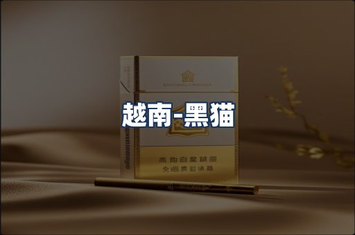 越南黑猫